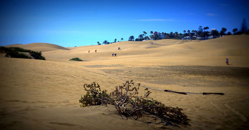 Playa del Ingles / Maspalomas Meetup & Networking